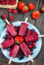 Homemade organic berry fruit lolly pops Royalty Free Stock Photo