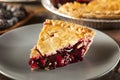 Homemade Organic Berry Pie