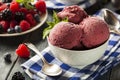 Homemade Organic Berry Sorbet Ice Cream Royalty Free Stock Photo