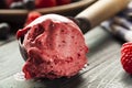 Homemade Organic Berry Sorbet Ice Cream Royalty Free Stock Photo