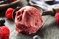 Homemade Organic Berry Sorbet Ice Cream Royalty Free Stock Photo