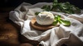 Homemade organic farm mozzarella cheese. AI generated image