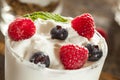 Homemade Organic Fresh Fruit Parfait Royalty Free Stock Photo