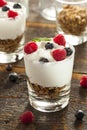 Homemade Organic Fresh Fruit Parfait Royalty Free Stock Photo