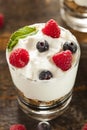 Homemade Organic Fresh Fruit Parfait Royalty Free Stock Photo