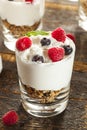 Homemade Organic Fresh Fruit Parfait Royalty Free Stock Photo