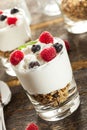 Homemade Organic Fresh Fruit Parfait Royalty Free Stock Photo