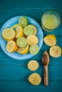 Homemade organic fresh lemon squeezed juice Royalty Free Stock Photo