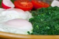 Homemade, organic Fried eggs on spinach