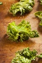 Homemade Organic Green Kale Chips