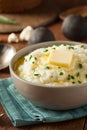 Homemade Organic Mashed Cauliflower Royalty Free Stock Photo