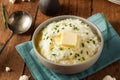 Homemade Organic Mashed Cauliflower Royalty Free Stock Photo