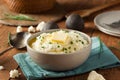 Homemade Organic Mashed Cauliflower Royalty Free Stock Photo