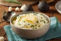 Homemade Organic Mashed Cauliflower Royalty Free Stock Photo