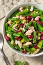 Homemade Organic Three Bean Salad