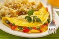 Homemade Organic Vegetarian Cheese Omelette