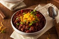 Homemade Organic Vegetarian Chili Royalty Free Stock Photo