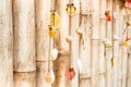 Homemade ornaments from sea shells on bamboo fence Royalty Free Stock Photo