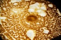 Homemade pancake fried on a pan. Pancake fried in the pan in the kitchen for breakfast Royalty Free Stock Photo