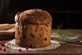 Homemade Panettone for Christmas.