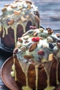 Homemade panettone