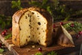 Homemade Panettone Fruit Cake