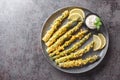 Homemade Panko Breaded Asparagus with Assorted Spices close-up on a plate. Horizontal top view