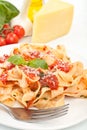 Homemade pasta with tomato sauce Royalty Free Stock Photo