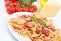 Homemade pasta with tomato sauce Royalty Free Stock Photo