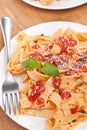 Homemade Pasta with Tomato Sauce Royalty Free Stock Photo