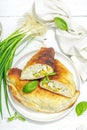 Homemade patty pies with cottage cheese and greens. High protein food, gluten free bakery Royalty Free Stock Photo