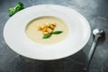 Homemade pea soup with grilled bread and leaf in a bowl. Tasty food Royalty Free Stock Photo