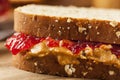 Homemade Peanut Butter and Jelly Sandwich