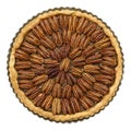 Homemade pecan pie Royalty Free Stock Photo