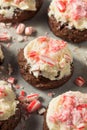 Homemade Peppermint Candycane Chocolate Cookies