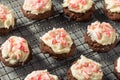 Homemade Peppermint Candycane Chocolate Cookies