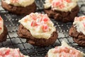 Homemade Peppermint Candycane Chocolate Cookies