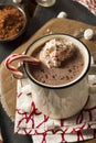 Homemade Peppermint Hot Chocolate