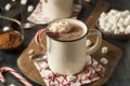 Homemade Peppermint Hot Chocolate Royalty Free Stock Photo