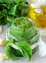 Homemade pesto sauce of green basil