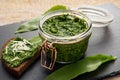 Homemade pesto sauce made with Allium ursinum leaves, known as wild garlic, ramsons, buckrams. Royalty Free Stock Photo