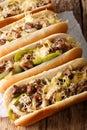 Homemade Philly Cheesesteak Sandwich with Onions and Peppers mac Royalty Free Stock Photo