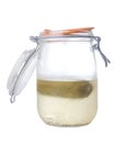 Homemade Pickle Jar Almost Empty Royalty Free Stock Photo