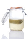 Homemade Pickle Jar Almost Empty Royalty Free Stock Photo