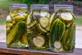 Homemade Pickle Jars outside Royalty Free Stock Photo