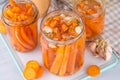 Homemade pickled carrots Royalty Free Stock Photo