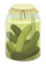 Homemade pickled cucumber. Clip-art of marinated food for packaging, label, menu, signboard or showcase. Fermented