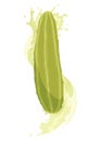 Homemade pickled cucumber. Clip-art of marinated food for packaging, label, menu, signboard or showcase. Fermented