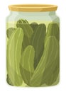 Homemade pickled cucumber. Clip-art of marinated food for packaging, label, menu, signboard or showcase. Fermented