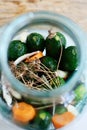 Homemade pickled cucumbers Royalty Free Stock Photo